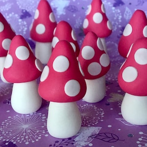 12 fondant 3d toadstools cupcake toppers. Suits fairy theme toppers xx