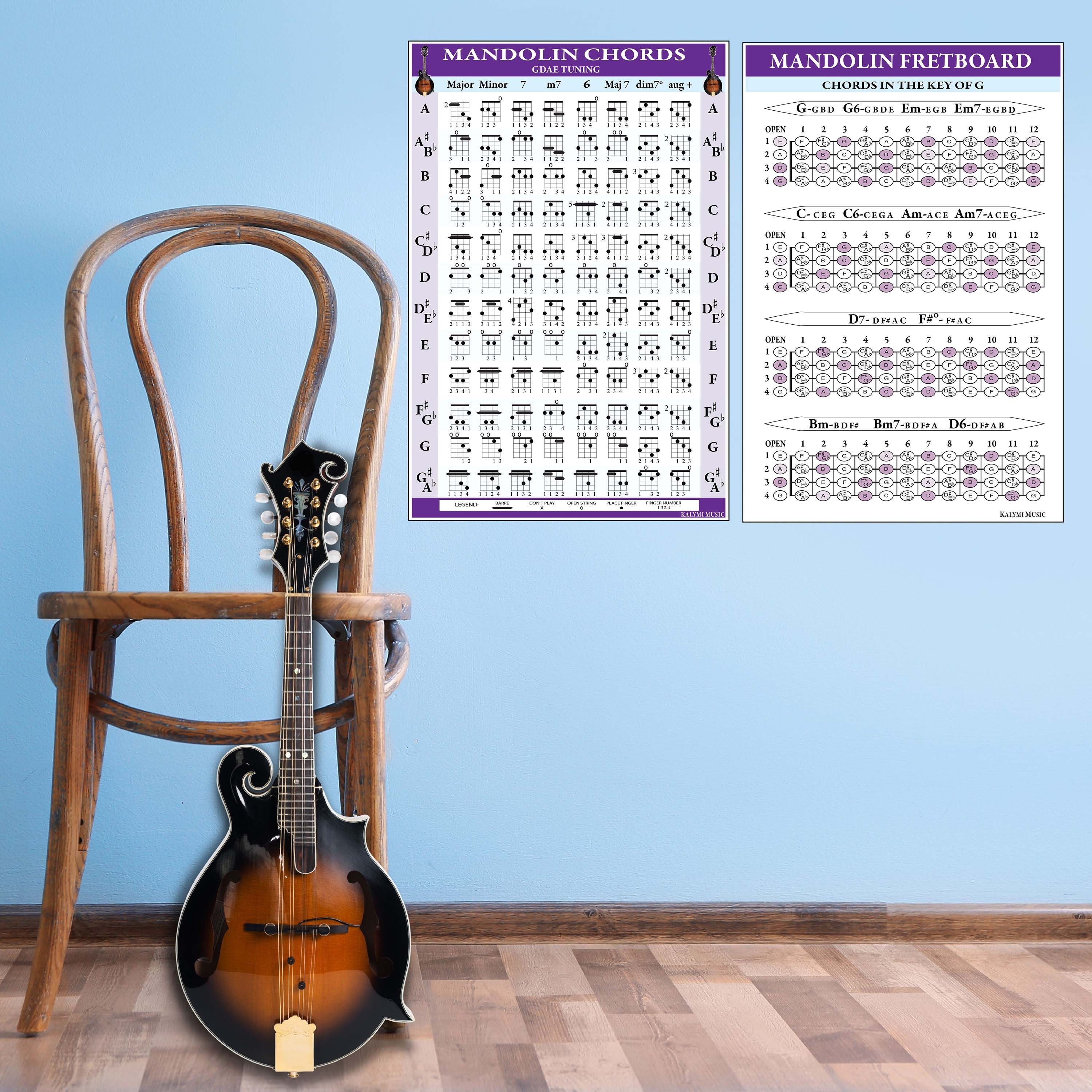 Mandolin Chords and Fretboard Poster Set