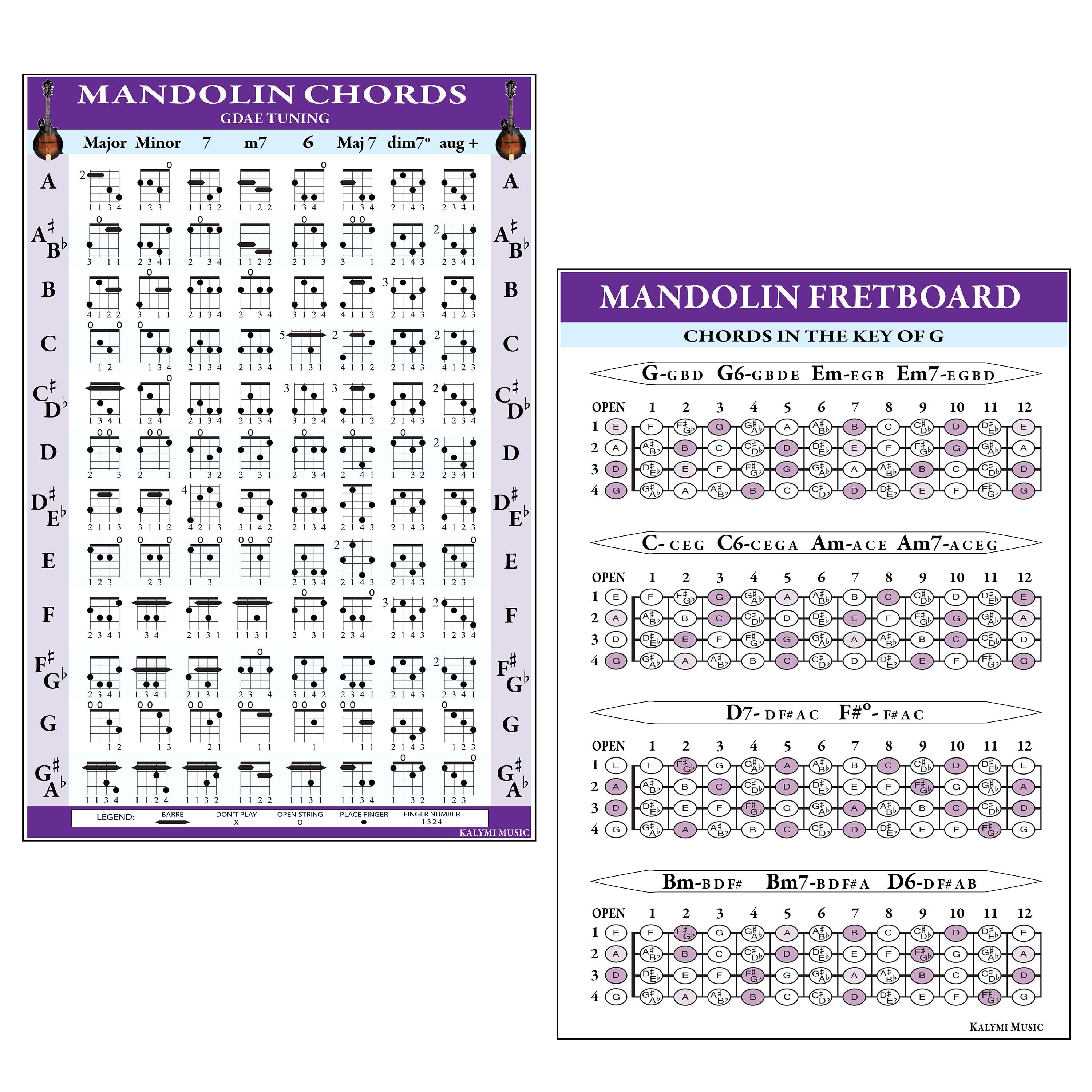 Mandolin Chords and Fretboard Poster Set - Etsy