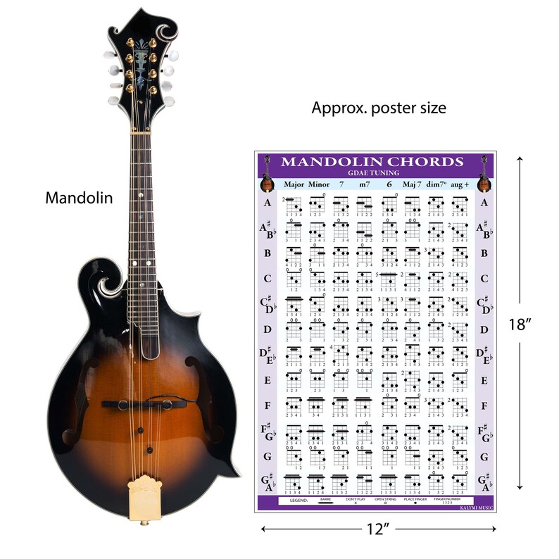 Mandolin Chords and Fretboard Poster Set Etsy Canada