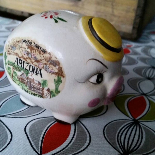 Souvenir Arizona retro piggy bank