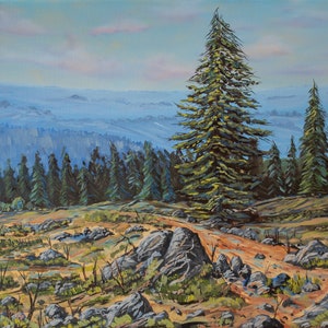 Montagne Vitosha. 50x40. Douwe Schermer. Huile sur toile. Paysage de montagne
