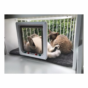 May include: Two cats relaxing on a gray cushion inside a white cat door. The cat door is mounted on a white wall. The cat door has a clear plastic flap and a white frame. The cat door has a small white label with the word "PetSafe" on it.
