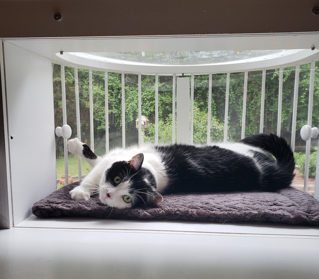 Cat Solarium Weather Package: Window Catio With Screen & Weather Insert ...
