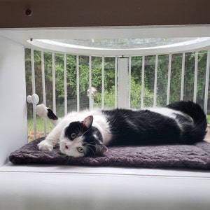 Cat Solarium Weather Package The Ultimate Cat Window Box.  This is a basic catio with a back panel,screen and weather insert.