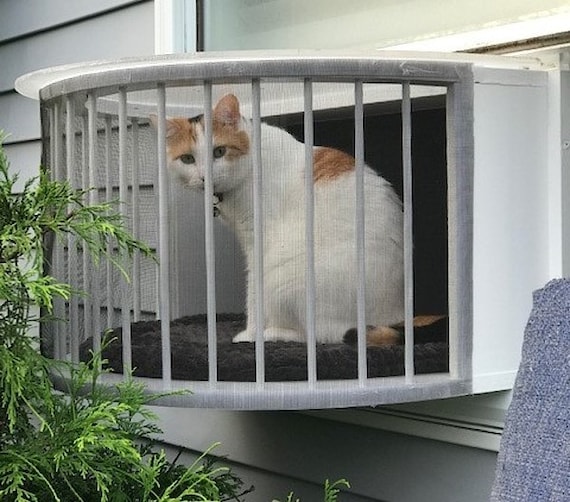 cat outside window perch