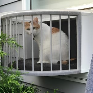 Cat Solarium Conservatory Package The Ultimate Cat Window Box. Cat Solarium catio: The Ultimate small catio.  This catio is easy to install.