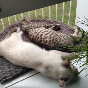 Cat Solarium-The Veranda Package The Ultimate Cat Window Box