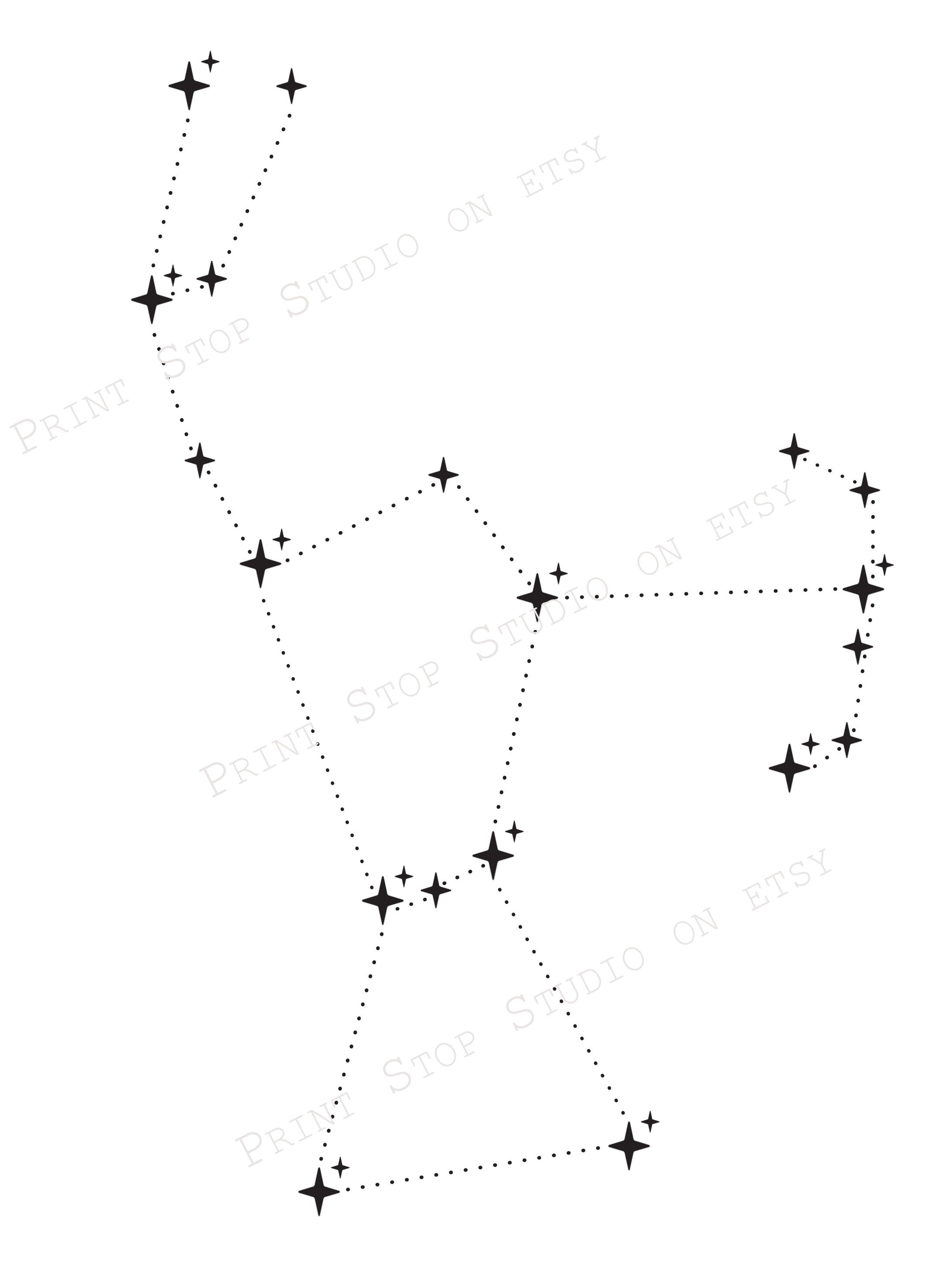 Orion Constellation SVG Bundle. Stars, Flowers, Skulls, Suns. Cricut ...