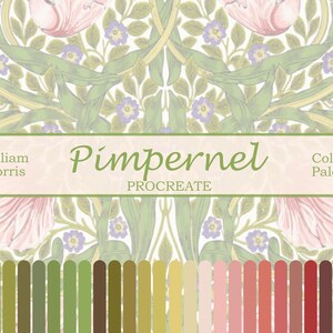 Palette de couleurs Pimpernel Procreate. Échantillons de couleur, fournitures d'illustration. Inspiré de William Morris.