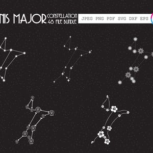 Canis Major Constellation SVG-bundel. Sterren, bloemen, schedels, zonnen. Cricut-bestanden