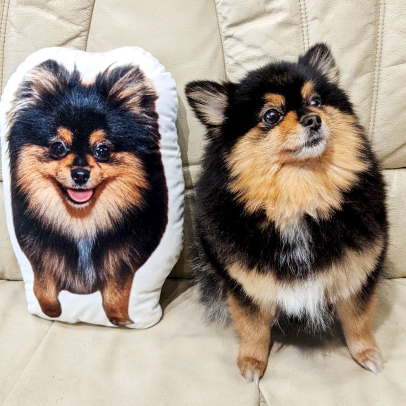 CUSTOM pet photo pillow, personalised Stuffed dog, Birthday gift, pet lover gift image 3