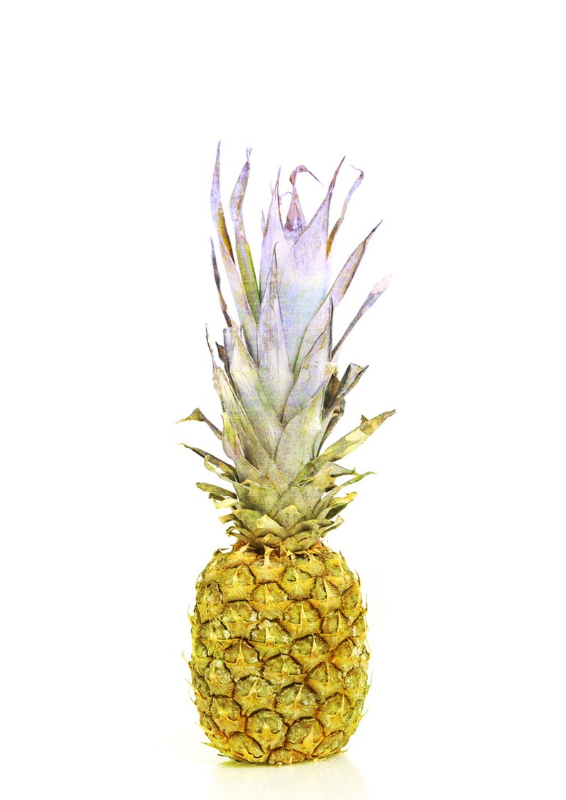 Fruit Print Pineapple Poster Art Pineapple Wall Art Kitchen Etsy