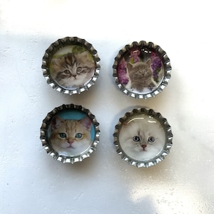 Imanes de nevera hechos a mano con forma de tapones de botella de gato, regalo para profesores