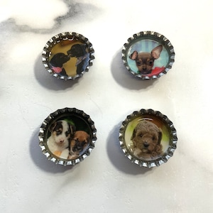 Imanes de tapones de botellas con imágenes de perros, regalo reciclado para profesores