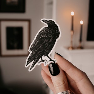 Crow Illustrated Vinyl Sticker