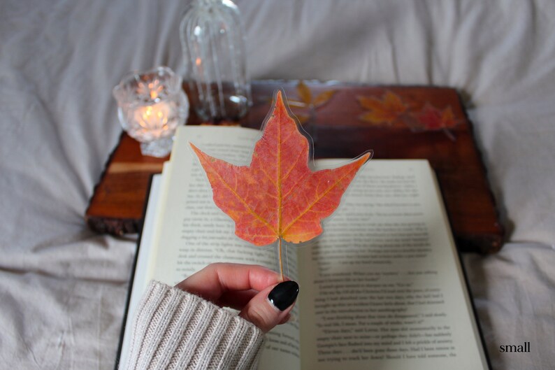 Autumn Pressed Leaf Bookmarks Laminated Bookmarks Pressed Etsy