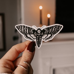 Moth Illustrated Vinyl Sticker