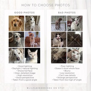 Pu&ograve; includere: Un grafico con il testo "COME SCEGLIERE LE FOTO" e esempi di foto buone e cattive. La sezione "BUONE FOTO" mostra immagini ben illuminate di cani e un gatto. La sezione "CATTIVE FOTO" mostra immagini poco illuminate e sfocate di cani e gatti.