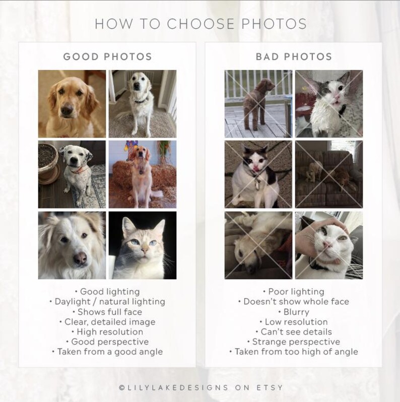 Pu&ograve; includere: Un grafico con il testo "COME SCEGLIERE LE FOTO" e esempi di foto buone e cattive. La sezione "BUONE FOTO" mostra immagini ben illuminate di cani e un gatto. La sezione "CATTIVE FOTO" mostra immagini poco illuminate e sfocate di cani e gatti.