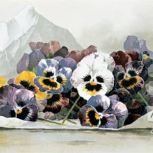 Favoritos de primavera por Paul de Longpre Vintage estampado de arte Floral (16 x 8)
