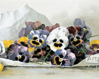 Spring Favorites by Paul de Longpre Vintage Floral Art Print (16 x 8)