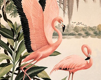 Pink Flamingos Art Print of Vintage Art 15 x 24 image size Flamingo Art