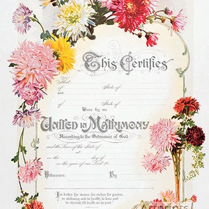 Certificado de matrimonio de crisantemo