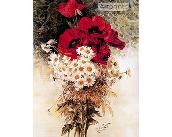 Poppies & Daisies by Paul de Longpre Vintage Floral Art Print (14 x 19.75)