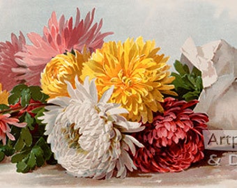 Fall Beauties by Paul de Longpre Vintage Floral Art Print (16 x 8)