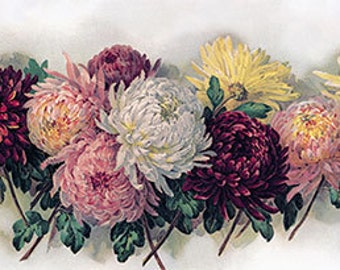 Bouquet of Chrysanthemums by Paul de Longpre Vintage Floral Art Print (27 x 10.25)