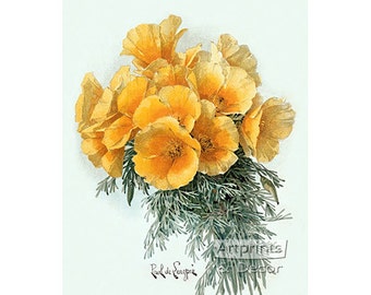 Yellow Poppies by Paul de Longpre Vintage Floral Art Print