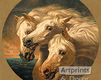 Farao's Paarden Art Print