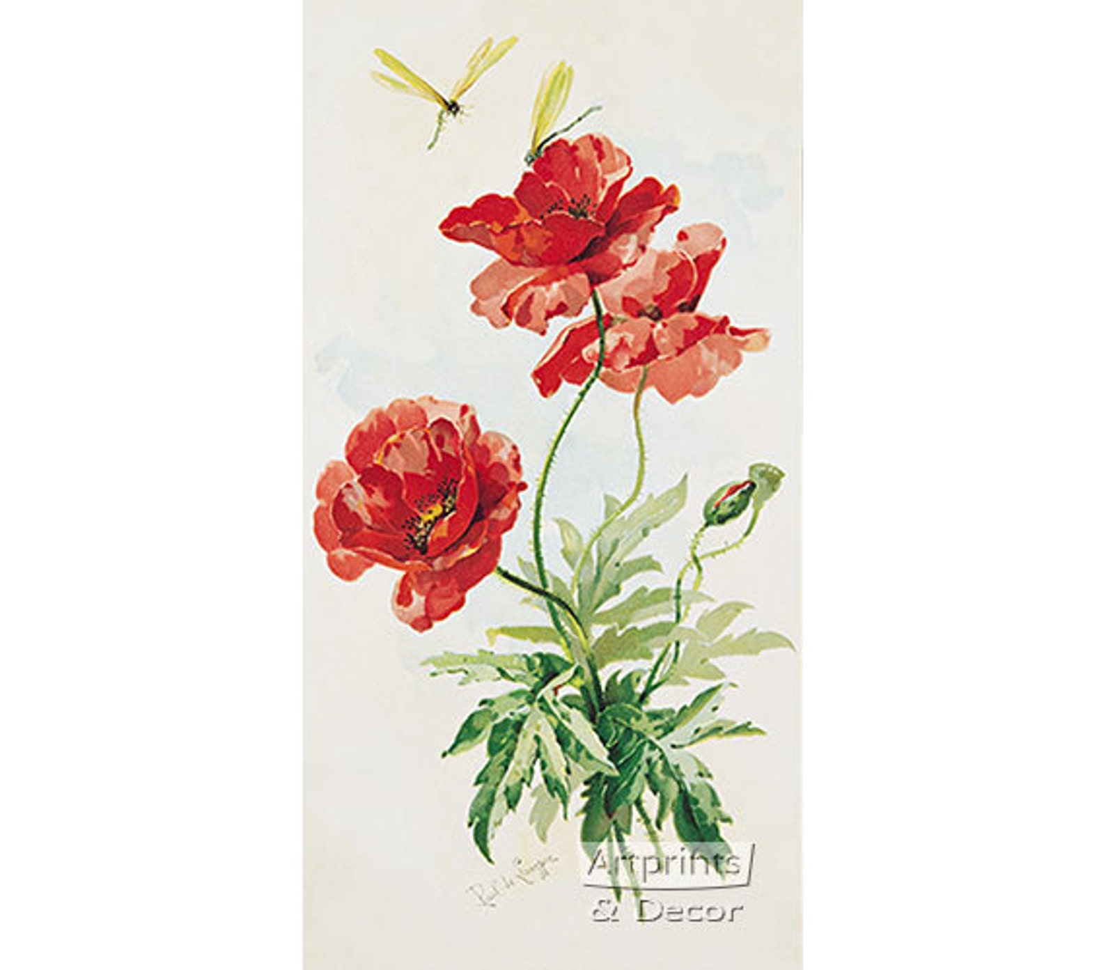 Poppies by Paul De Longpre Vintage Floral Art Print 7.75 X 15 Etsy UK