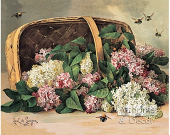 A Basket of Lilacs by Paul de Longpre Vintage Art Print (20 x 16)