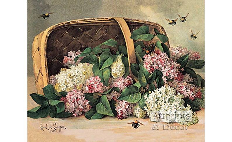 A Basket of Lilacs by Paul de Longpre Vintage Art Print 20 x 16 image 1