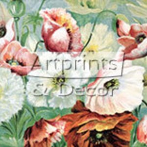 May include: A vintage botanical illustration featuring a field of pink, white, and red poppies. The flowers are depicted in a realistic style with delicate details.