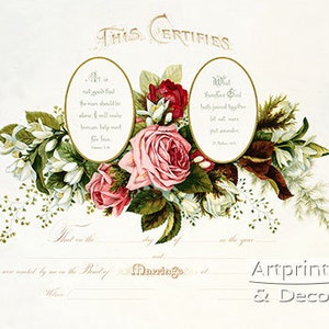 Certificado de matrimonio de Pink Roses