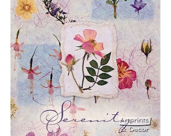 Serenity - Art Print