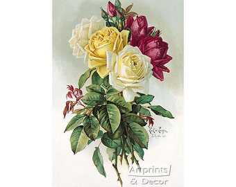 Royal Roses by Paul de Longpre Vintage Floral Art Print (14 x 22)