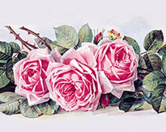 La France Roses by Paul de Longpre - Art Print 34 x 9