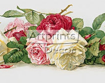 Study of Roses by Paul de Longpre - Art Print 34 x 8
