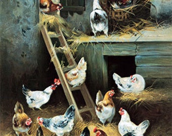 Chickens At Home - Art Print