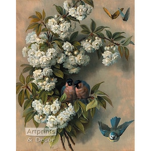 La perca de floración por Paul de Longpre Vintage estampado de arte Floral (11 x 14)