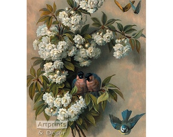 The Flowering Perch by Paul de Longpre Vintage Floral Art Print (11 x 14)