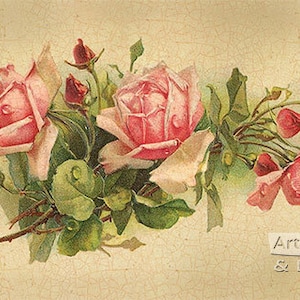 Pink Roses By Catherine Klein - Art Print