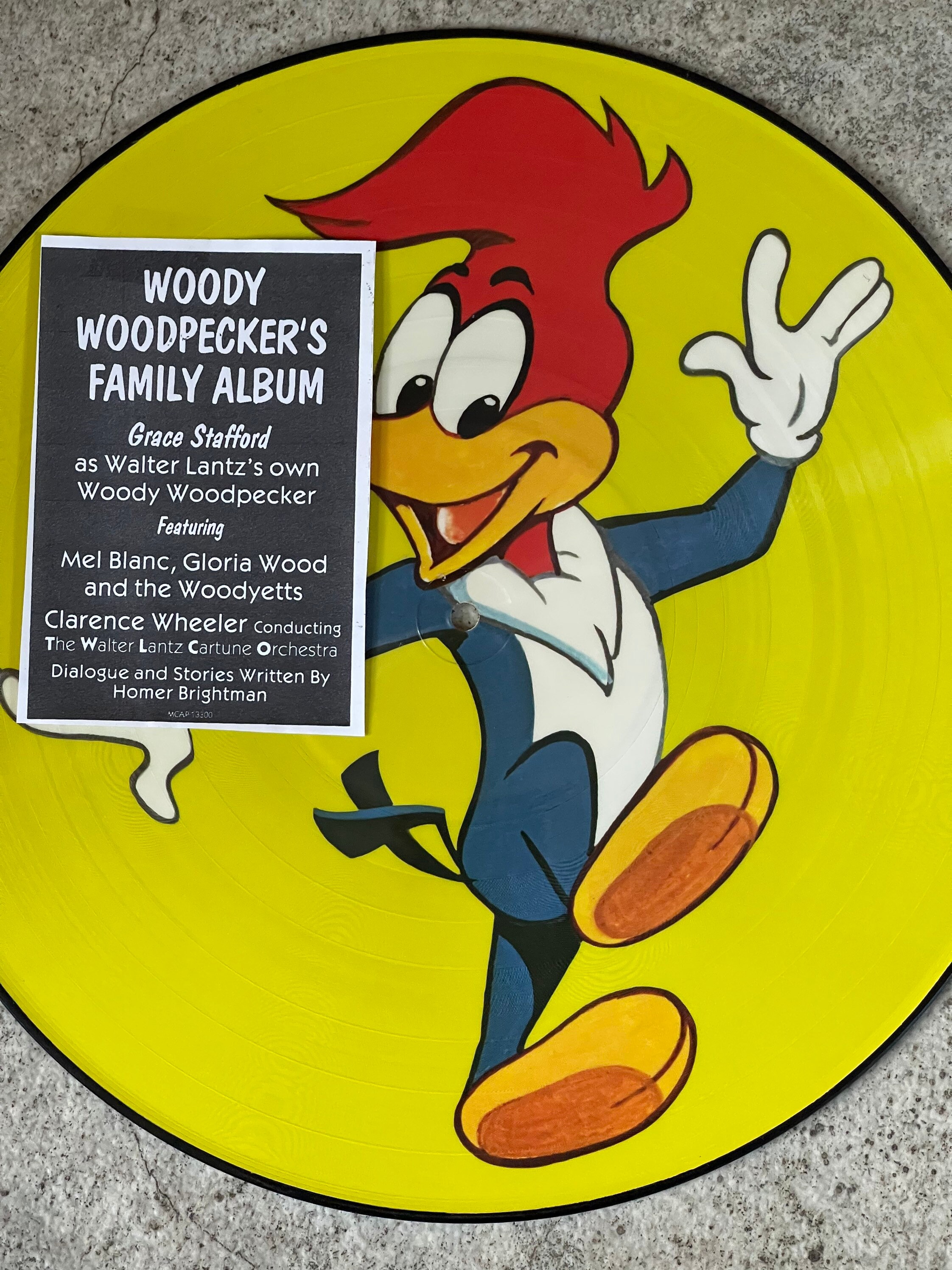 Woody Woodpecker Woodpecker Record Old Woody Woodpecker Etsy