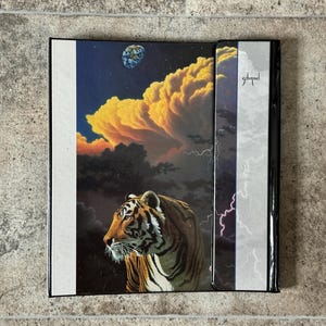 May include: A hardcover book with a tiger illustration. The cover features a tiger against a backdrop of a stormy sky with a planet and lightning. The spine has the word "schumel" in cursive.