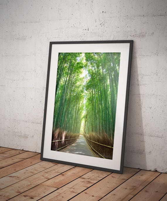 日本未入荷-2サイズウォールアートBamboo Forest in Kyoto Japan Bamboo Forest, Kyoto Japan - Etsy