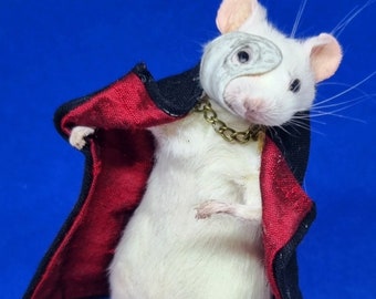 Taxidermy mouse phantom of the opera ~ theatre, west end, broadway, musical, oddities, curio, curiosities, goth, gothic, hammer horror